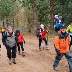 12-12-30 día del Turrón